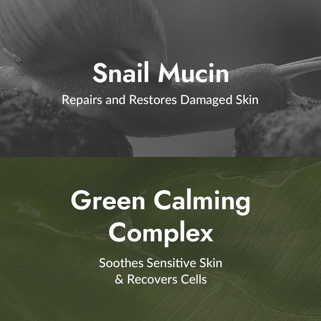 image:imageMIZON AllinOne Snail Repair Cream Korean Face Moisturizer with Snail Mucin 12 Natural Extracts Hydrating amp Nourishing Cream for Fine Lines Wrinkles amp Blemish Care Big Size406 fl oz253 Fl Oz Pack of 2
