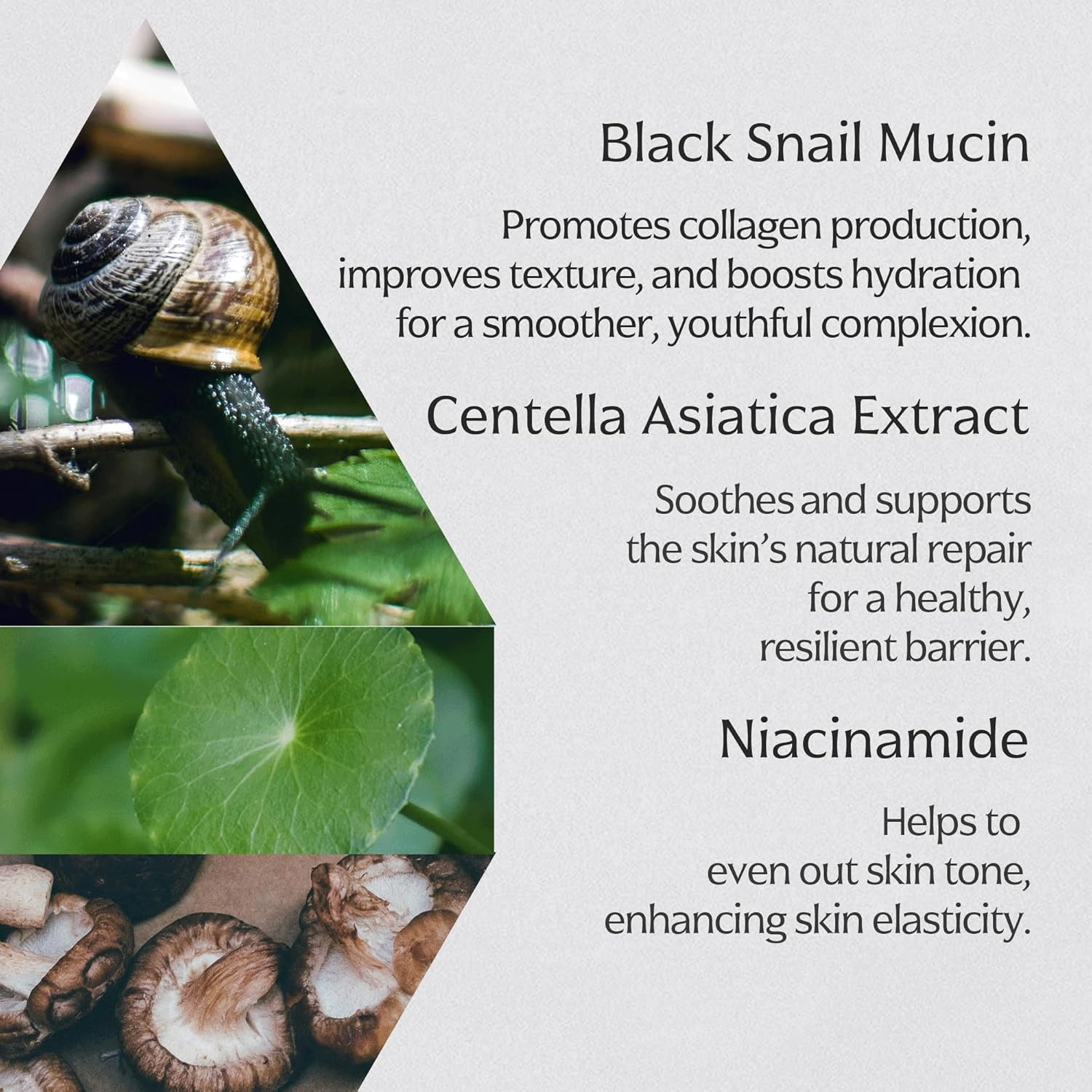 image:imageMIZON Black Snail All in One Cream Intensive Korean Skin Care Facial Moisturizer with Snail Mucin Extract 254 fl oz253 Fl Oz Pack of 1