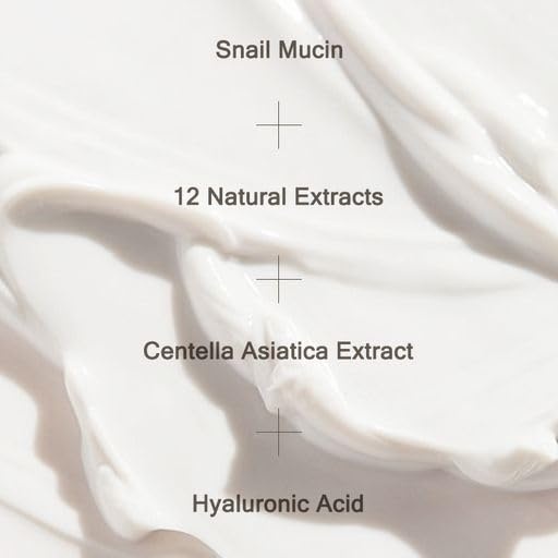 image:imageMIZON Bundle All in One Cream Black All In One Cream Face moisturizers double hydration double wrinkle care double snail mucin
